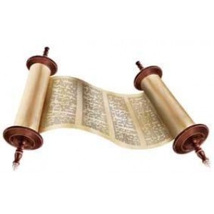 Torah Cut-Outs – Card Stock, 20/pk