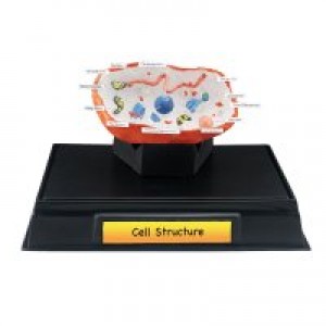 Cell Structure Classroom Pack