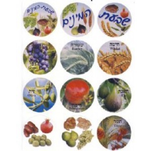 Shivas Haminim Stickers 