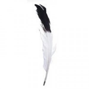 Imitation Eagle Feathers 2/pk
