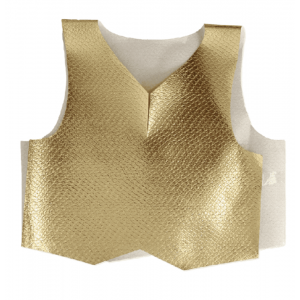Gold Metallic Vest