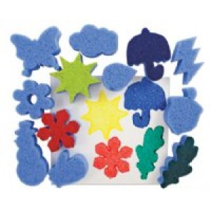 Four Season Sponges