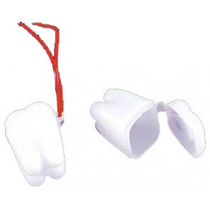 Tooth Saver Necklace