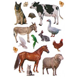 Farm Animal Stickers 150 Pack – Barnyard Animal Stickers for Kids Crafts, Classroom Rewards & Scrapbooking