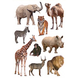 Zoo Animal Stickers, 90/Pk