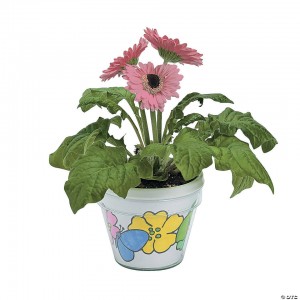3 3/4" Color Your Own DIY Artist Spring Flower Pots - 12 Pc