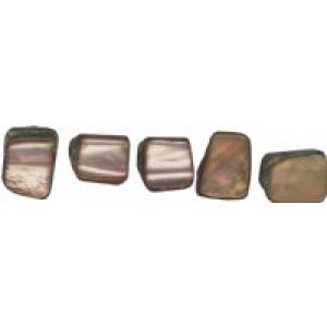 Shell Chip Beads-Natural