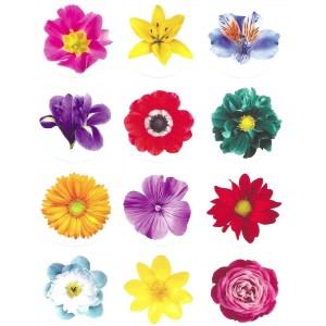 Round Circle Dot Stickers – Large Photo Flower 