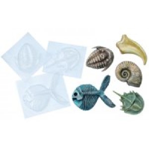 Fossil Molds