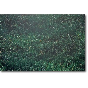 Grass Background Backdrop – Realistic Green Grass Wall Décor