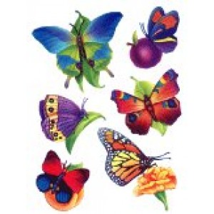 Window Clings- Butterflies