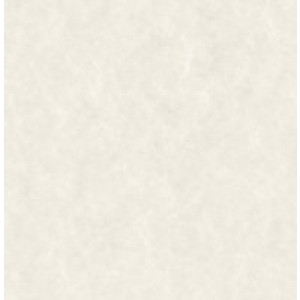 Parchment Bond Paper