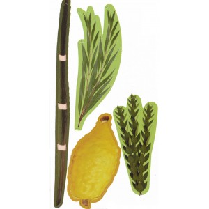 Arba Minim