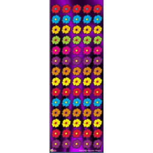 Mini Flowers -Colorful Flower Die-cut Stickers 