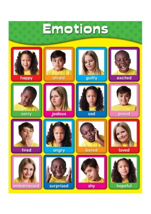 Emotions Chart