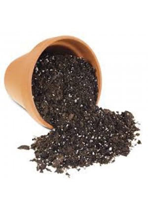 Potting Soil 8Qt