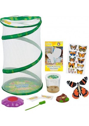 Butterfly Mini Garden Gift Set with Live Cup of Caterpillars