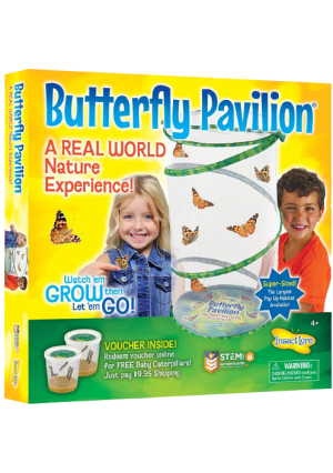 Butterfly Pavillion