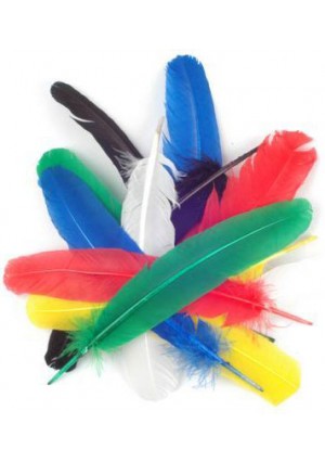 Rainbow Feathers 