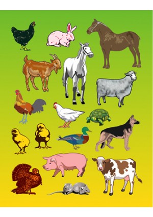 Stickers, 25 Sheets - Farm Animlas