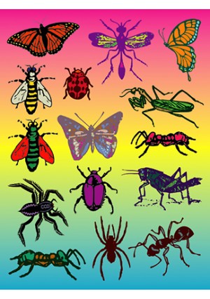 Stickers, 25 Sheets - Insects