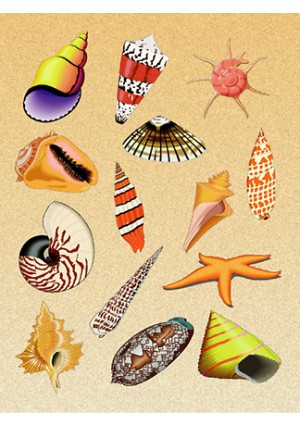 Stickers, 25 Sheets - Sea Shell