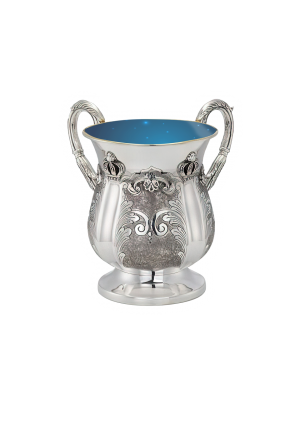 Silver Wash Cup With Water & Bowl Cutout 
