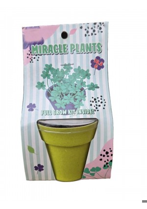 Miracle plant-Just add a little water and watch them grow!