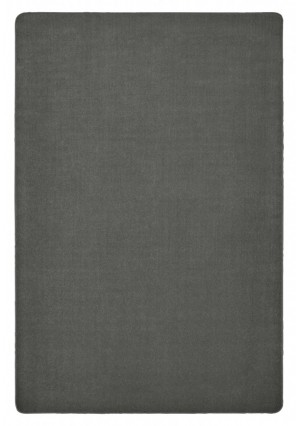 Mt Shasta Solids - Wolf Gray, SOLID