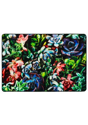 Succulent Garden