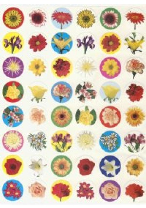 Mini Photo Flower Stickers