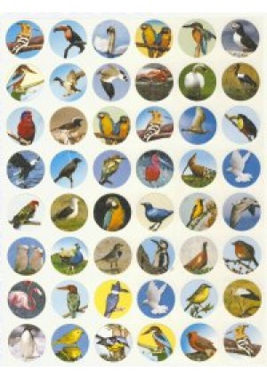 Glitter Bird Stickers
