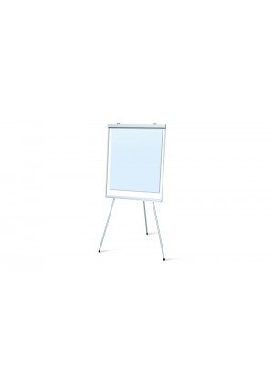White Board Presentation Easel