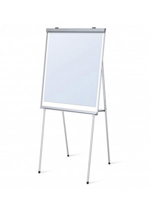 WB Magnetic Presentation Easel