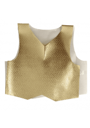 Gold Metallic Vest