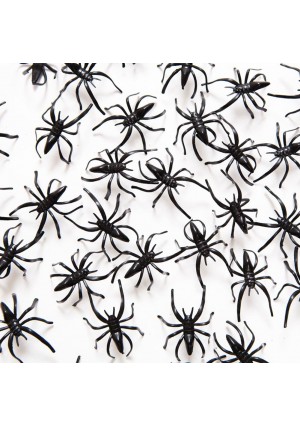 Scary Spider