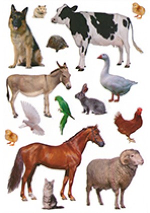 Farm Animal Stickers 150 Pack – Barnyard Animal Stickers for Kids Crafts, Classroom Rewards & Scrapbooking