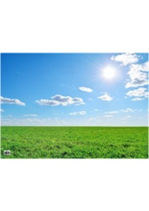 Summer Sky Oaktag