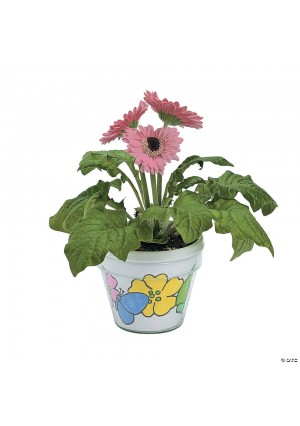 3 3/4" Color Your Own DIY Artist Spring Flower Pots - 12 Pc