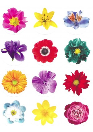 Round Circle Dot Stickers – Large Photo Flower 