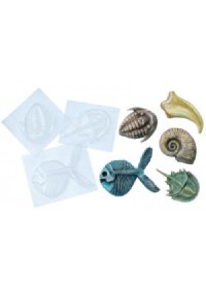 Fossil Molds