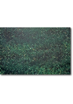 Grass Background Backdrop – Realistic Green Grass Wall Décor
