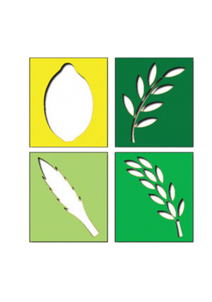 Arba Minim Stencils