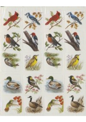 Birds Stickers