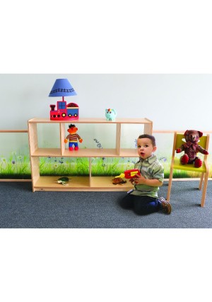 Nature View Acrylic Back Cabinet 30H