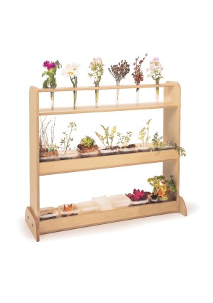Nature Shelf