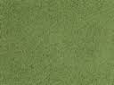 Solid Color Carpet-Grass